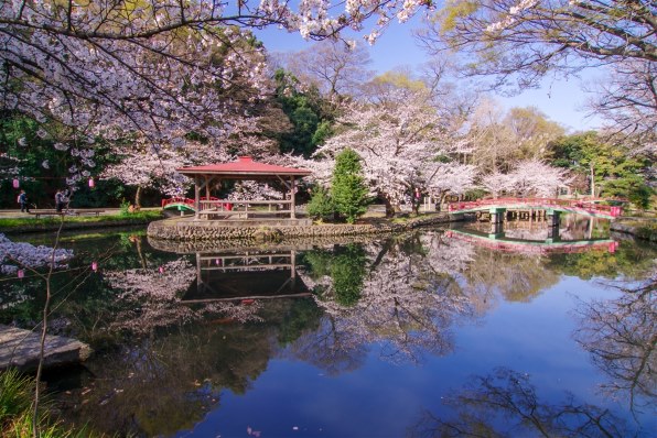 ペンタックス smc PENTAX-DA 12-24mmF4 ED AL[IF]で撮影された写真