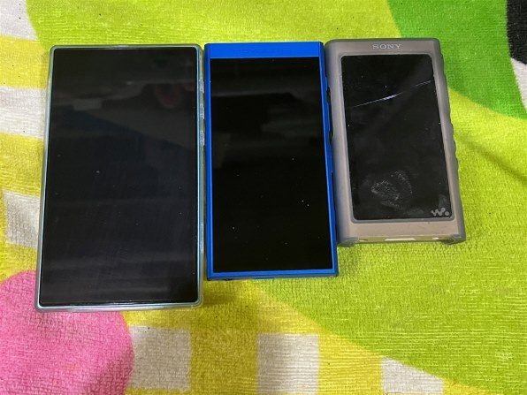 自分にとって妥当か』 FiiO JM21 FIO-JM21-L [32GB Blue] の