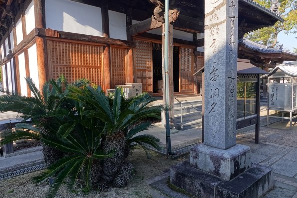 SONY機で綴る季節の風景(6月)』 クチコミ掲示板 - 価格.com SONY機で綴る季節の風景(6月)』 クチコミ掲示板 - 価格.com