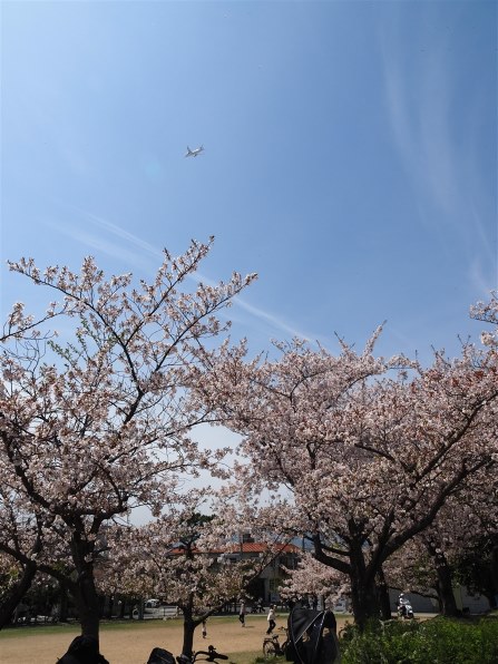 オリンパス M.ZUIKO DIGITAL ED 14-150mm F4.0-5.6 IIで撮影された写真