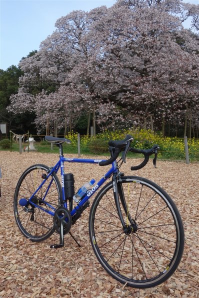 リコーGR3 Amazon | RICOH GR III デジタルカメラ 【APS-Cサイズ大型CMOS