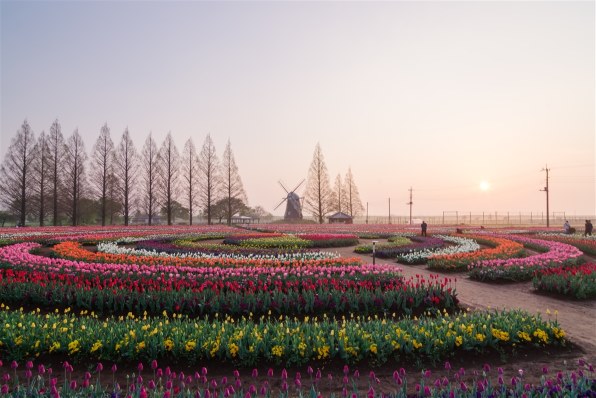 ペンタックス smc PENTAX-DA 12-24mmF4 ED AL[IF]で撮影された写真