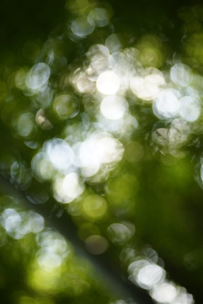 コニカ ミノルタ AF MACRO 100mm F2.8 Newで撮影された写真 - 価格.com