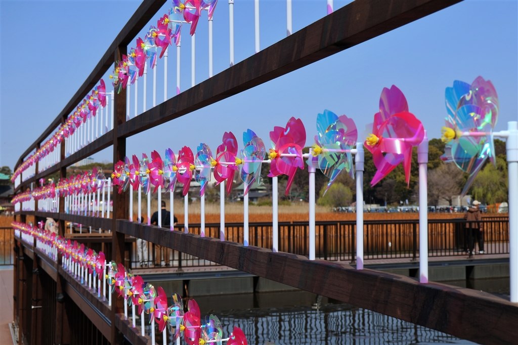 予約殺到なニコンZ5Ⅱのリアル画質比較』 クチコミ掲示板 - 価格.com