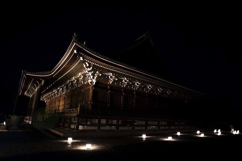 暗所も撮れるレンズを教えてください』 オリンパス OM-D E-M10 暗所も撮れるレンズを教えてください』 オリンパス OM-D E-M10