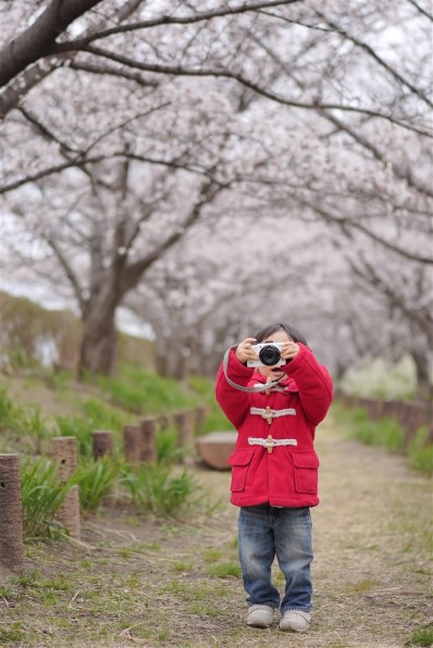 シグマ 18-50mm F2.8 DC DN [キヤノンRF用]投稿画像・動画 - 価格.com