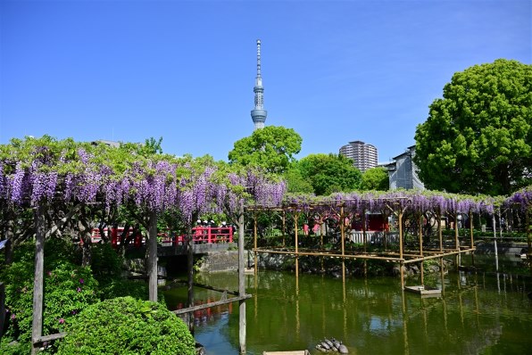 デジタル一眼カメラ ニコンなんでも掲示板のクチコミ - 価格.com デジタル一眼カメラ ニコンなんでも掲示板のクチコミ - 価格.com