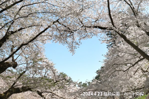 CANON EF-S18-200mm F3.5-5.6 ISで撮影された写真 - 価格.com