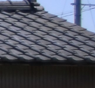 フィルムカメラ Nikon F5 &AF NIKKOR 24-50mm F3.3-4.5D ニコン AI AF Zoom Nikkor 24-50mm F3.3-4.5Dのクチコミ - 価格.com