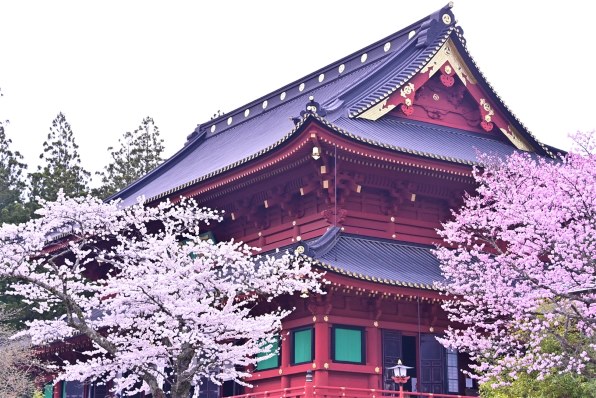 ニコン AF-S NIKKOR 28-300mm f/3.5-5.6G ED VRで撮影された写真