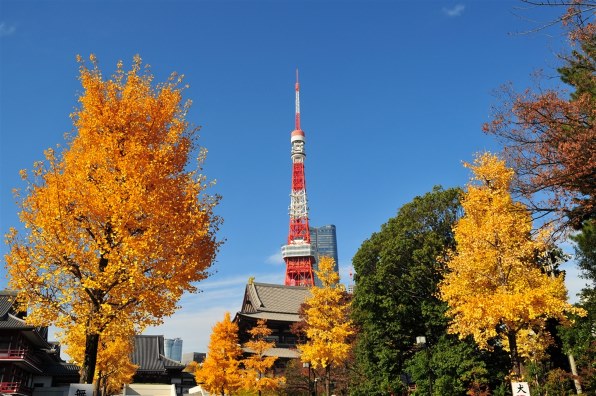 ニコン D300 ボディ投稿画像・動画 - 価格.com