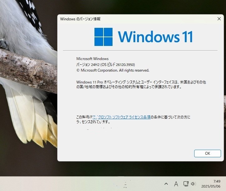 win11始めませんか？　ワードエクセル2016付 Win11 デフォルトブラウザを Edge から Firefox Portable