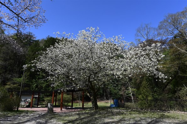 TOKINA AT-X 17-35 F4 PRO FX 17-35mm F4 [ニコン用]のクチコミ