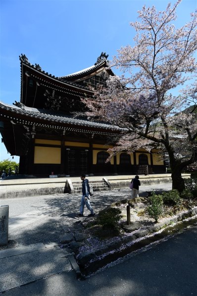 AT-X 17-35 F4 PRO FX 17-35mm F4 [ニコン用] TOKINA AT-X 17-35 F4 PRO FX 17-35mm F4 [ニコン用] 価格比較