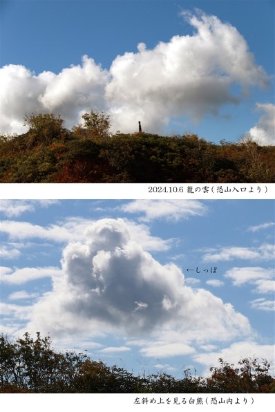 CANON EF-S18-200mm F3.5-5.6 ISで撮影された写真 - 価格.com