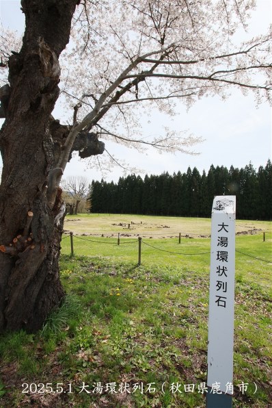 Canon EF-S 10-22mm USM☆広大な景色をそのまま写そう！ Canon EF-