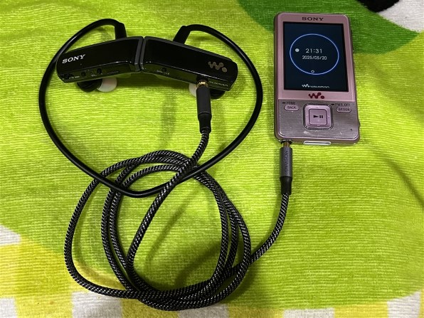 SONY NWD-W253 ブラック 2025年最新】sony walkman nwd-w253の人気アイテム - メルカリ