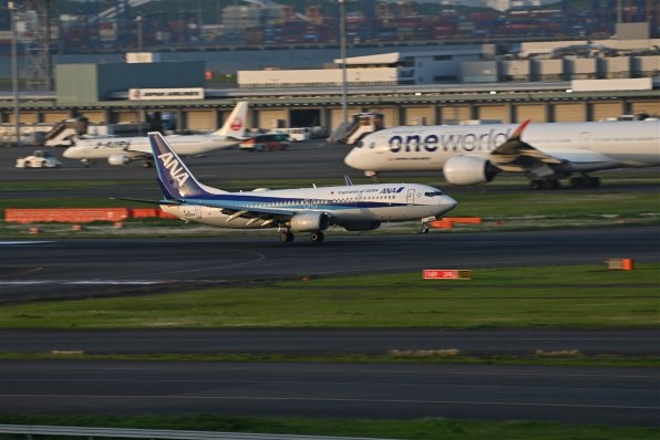 ニコン AF-S NIKKOR 28-300mm f/3.5-5.6G ED VRで撮影された写真