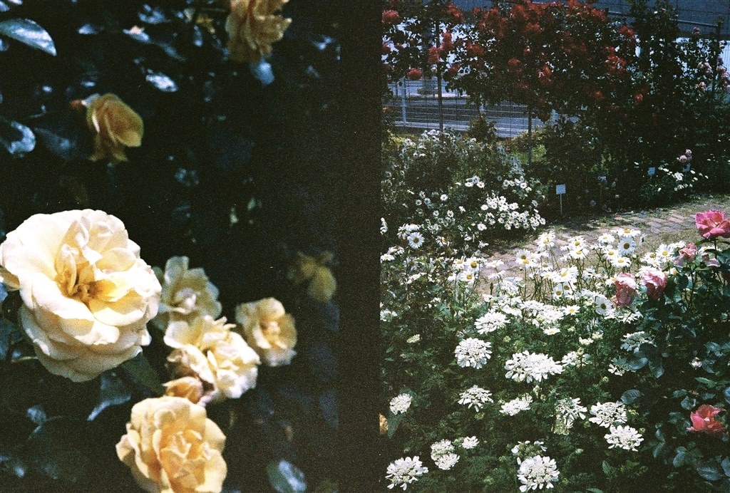 巻き上げの際の傷？』 ペンタックス PENTAX 17 [ダークシルバー
