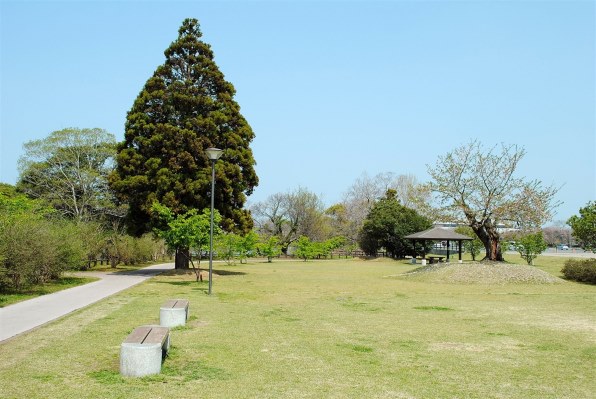 ニコン D3000 レンズキット 価格比較 - 価格.com