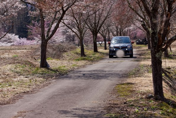 キャノン Canon EOS 40D【作例あり】 EOS 40Dで撮影された写真 | 写真検索 | GANREF