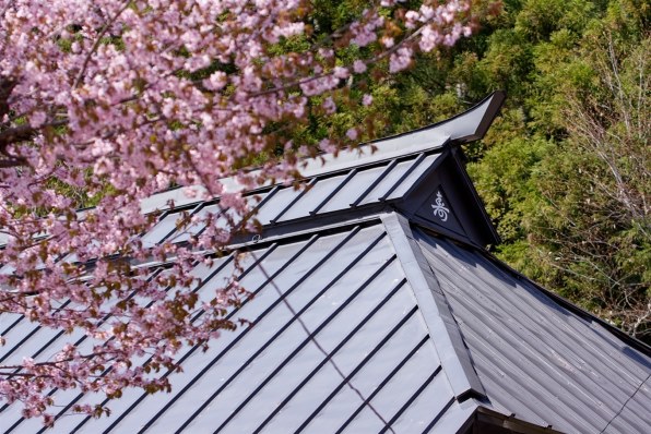 Canon EOS 40D本体、EF-S18-55 IS レンズキット Amazon | Canon デジタル一眼レフカメラ EOS 40D EF-S18-55 IS