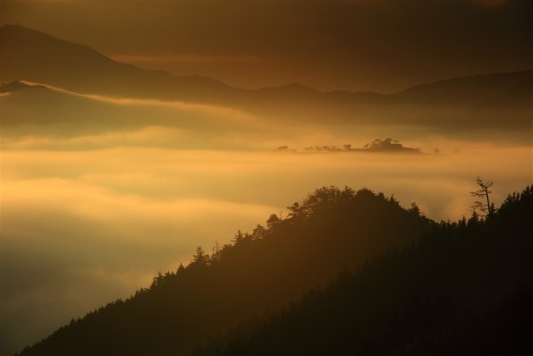 CANON EOS Kiss X4 ダブルズームキットで撮影された写真 (掲示板