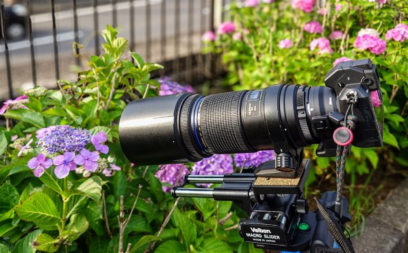 ニコン Nikon 1 V2 標準ズームレンズキット投稿画像・動画