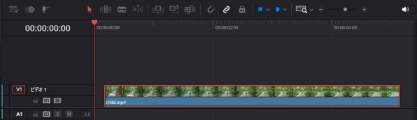 ★未使用 DaVinci Resolve Studio ライセンスキー Blackmagic Design DaVinci Resolve Studio（ライセンスキー版