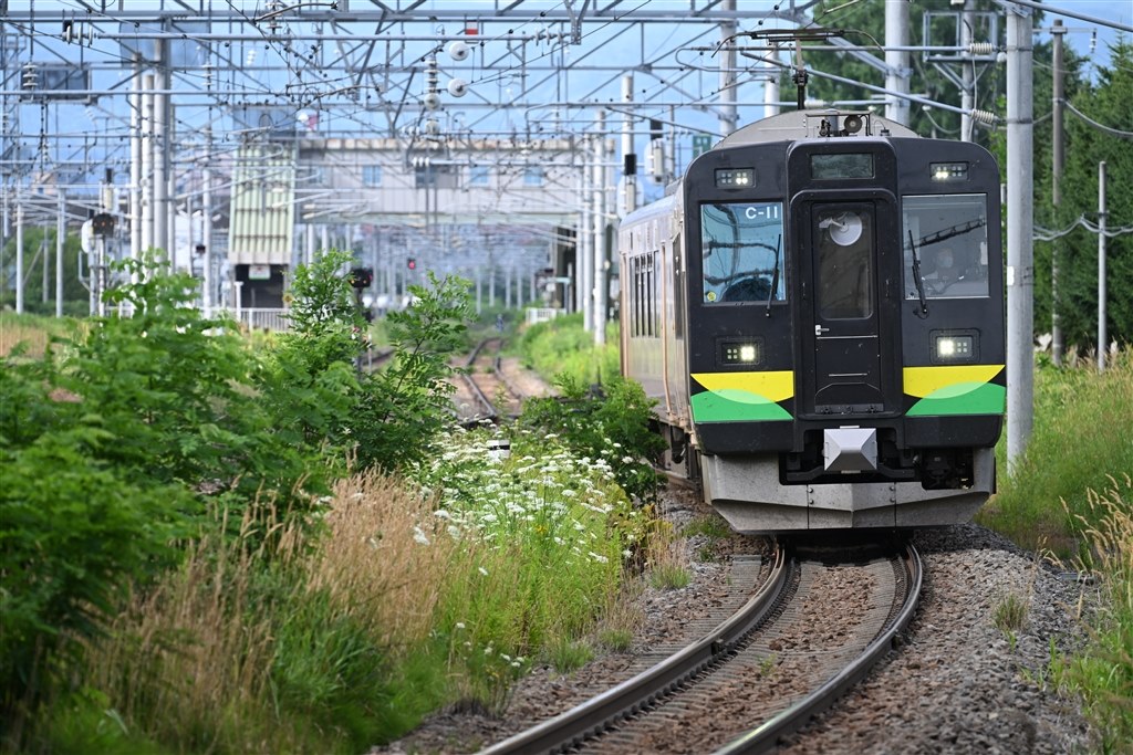 個人出品 外観新品同様 ニコン・Nikon D800 附属品付き 個人出品 外観新品同様 ニコン・Nikon D800 附属品付き カメラ