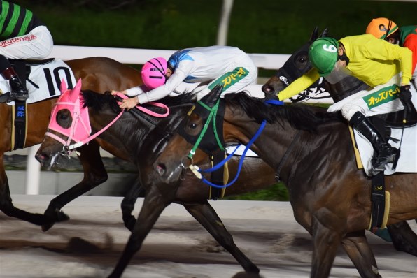 ニコン D5600 ボディ投稿画像・動画 - 価格.com