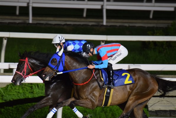 ニコン D3300 18-55 VRII レンズキット [ブラック]で撮影された