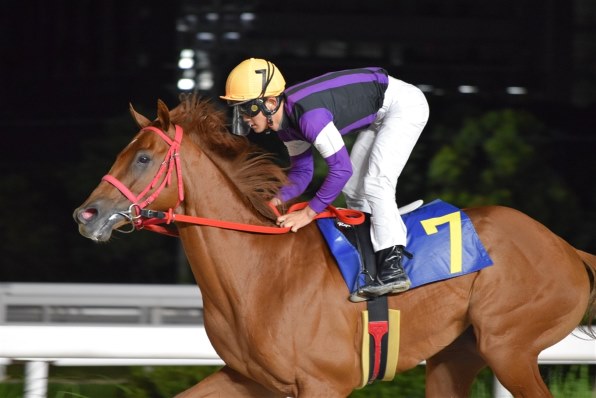 ニコン D5600 ボディ投稿画像・動画 - 価格.com