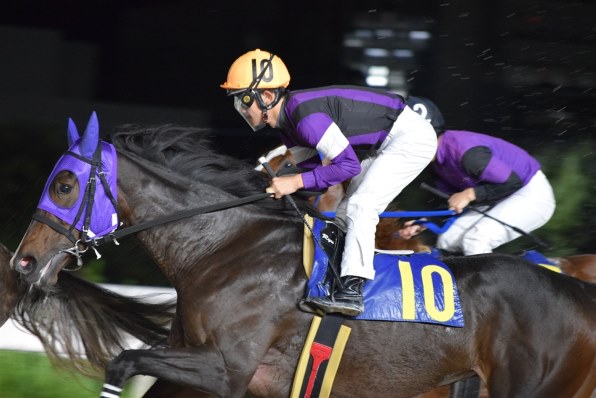 ニコン D5600 ダブルズームキット 価格比較 - 価格.com