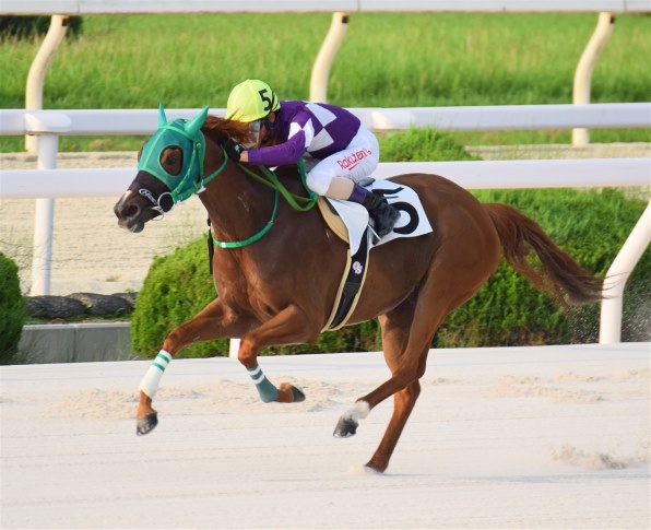 ニコン D5600 ボディ投稿画像・動画 - 価格.com