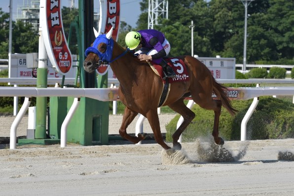 ニコン D5600 ダブルズームキット 価格比較 - 価格.com