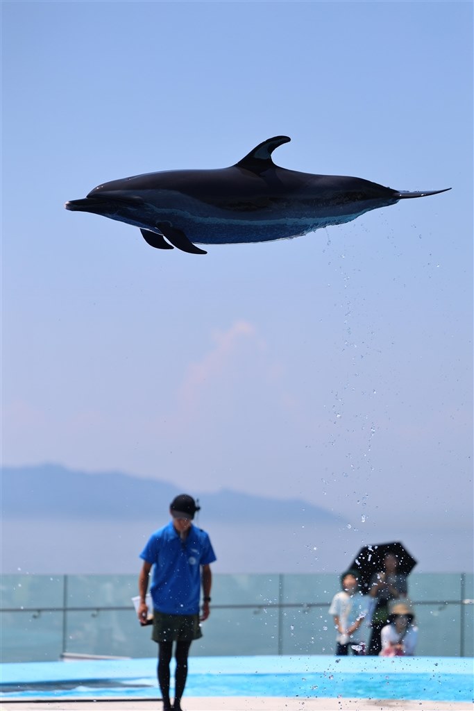 速い動きの動物を撮るには』 CANON EOS 90D ボディ のクチコミ