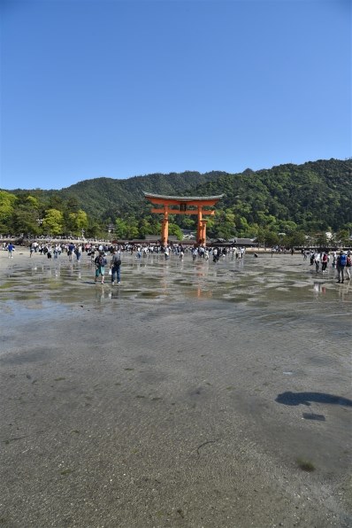 ニコン D750 ボディで撮影された写真 - 価格.com