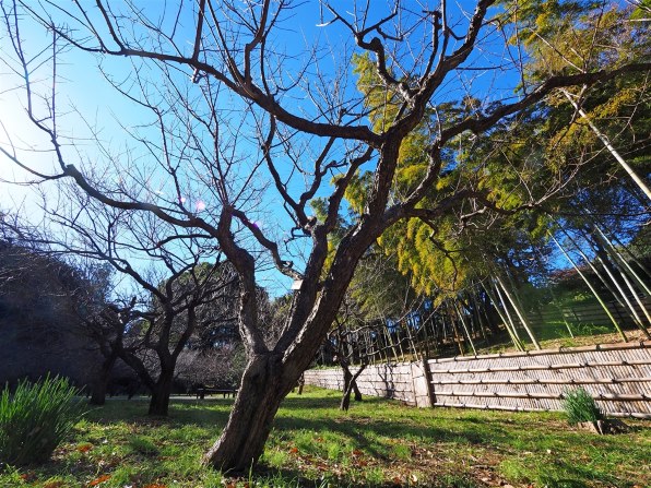 パナソニック LUMIX G VARIO 7-14mm/F4.0 ASPH. H-F007014で撮影された