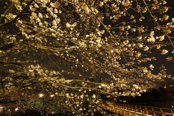 パナソニック LUMIX G VARIO 7-14mm/F4.0 ASPH. H-F007014で撮影された