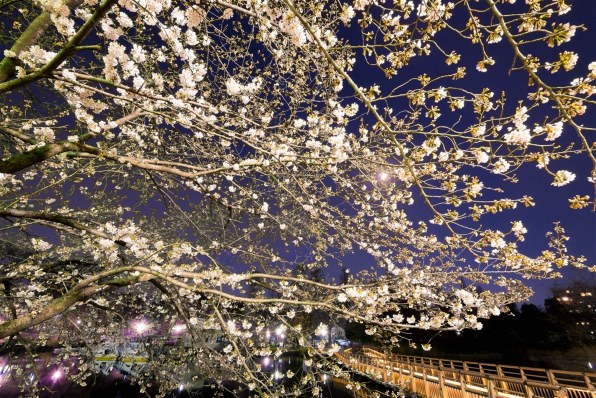 パナソニック LUMIX G VARIO 7-14mm/F4.0 ASPH. H-F007014で撮影