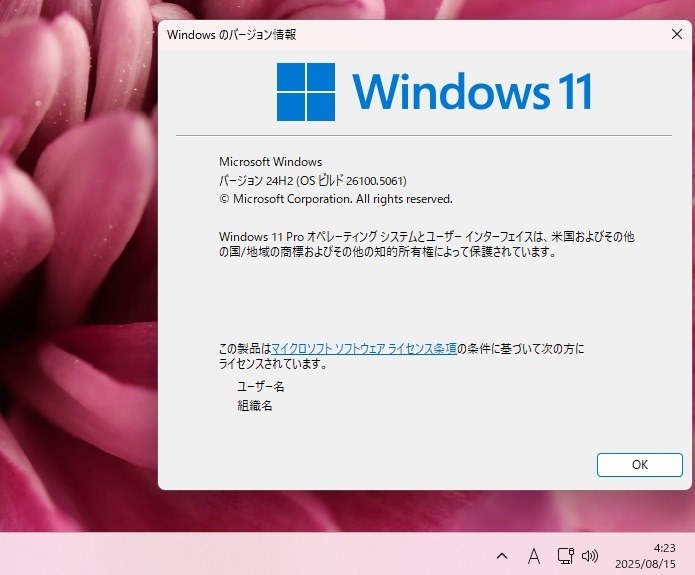 Win 11 Insider Preview 24H2 26100.5061 (Release Preview