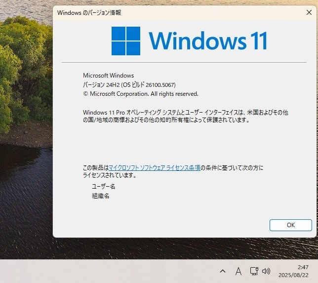 Win 11 Insider Preview 26100.5067 (Release Preview)』 クチコミ