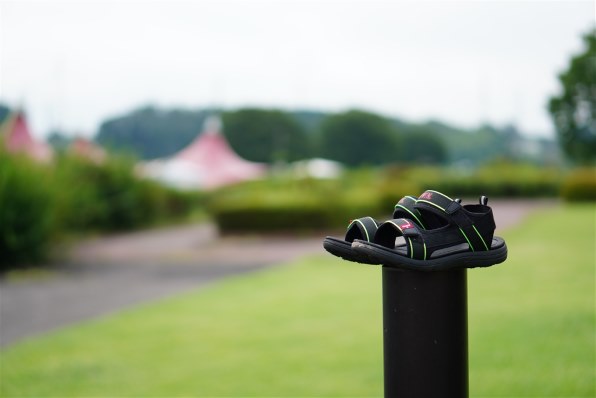 SONY E 50mm F1.8 OSS SEL50F18 (B) [ブラック]で撮影された写真