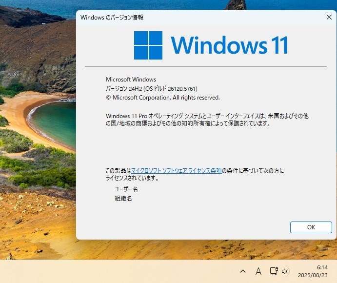 外観気にしない方どうですか？win11 ワードエクセル2019付 Windows 11 - 「wt.exeが見つかりません」と表示される場合の