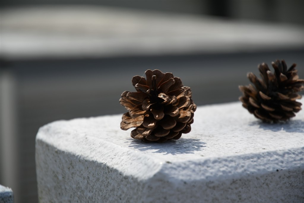 今度、買います。』 ニコン Z5II 24-200 レンズキット のクチコミ