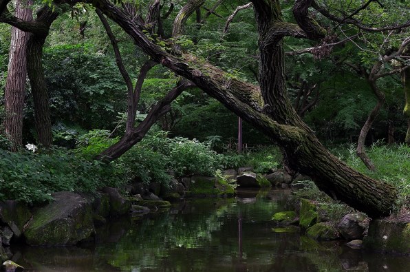 ニコン D7000 ボディで撮影された写真 - 価格.com