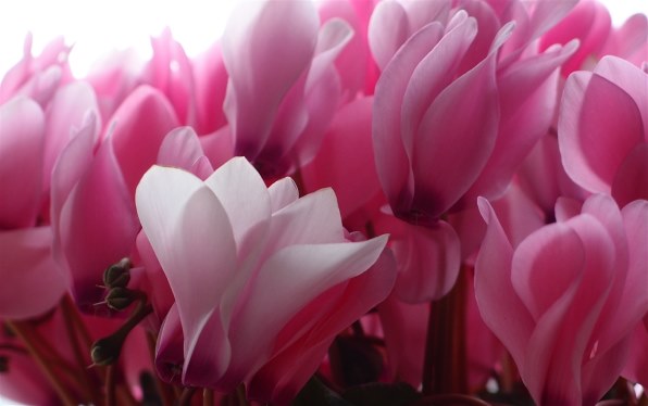 たか様 連絡用画面 購入不可 Dakhma or Tower of Silence the Place for Mourning in Ancient