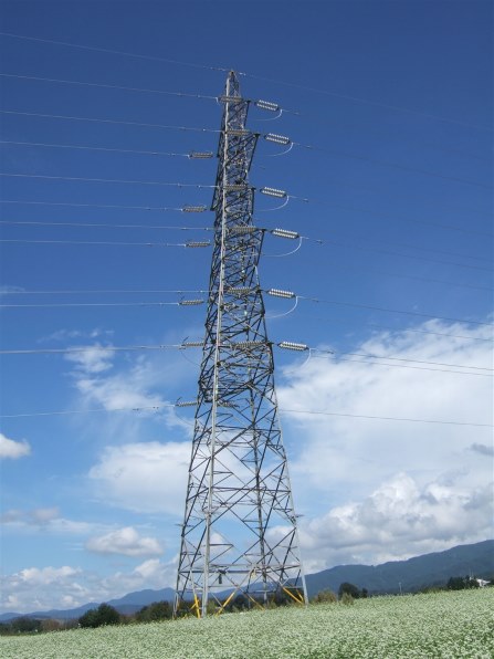 富士フイルム FinePix F10で撮影された写真 - 価格.com