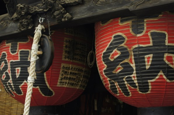 SONY α NEX-5D ダブルレンズキット [ゴールド]で撮影された写真 - 価格.com